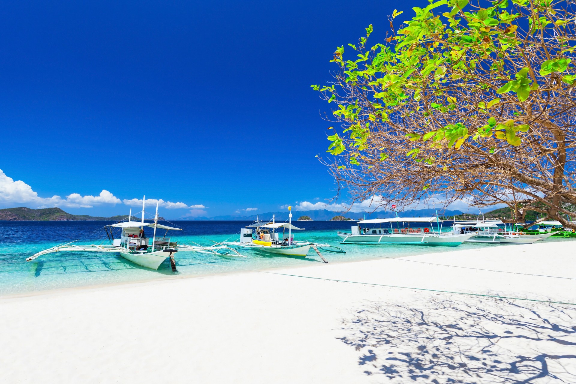 Boats on beach